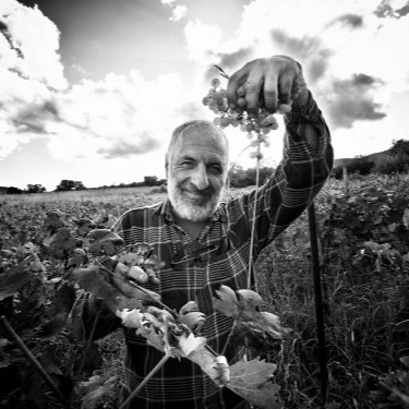 アワー ワイン - 画像 (2)