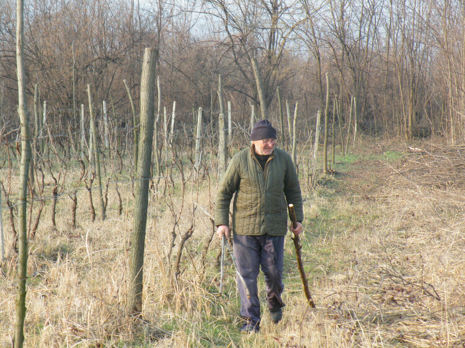 アワー ワイン - 画像 (7)