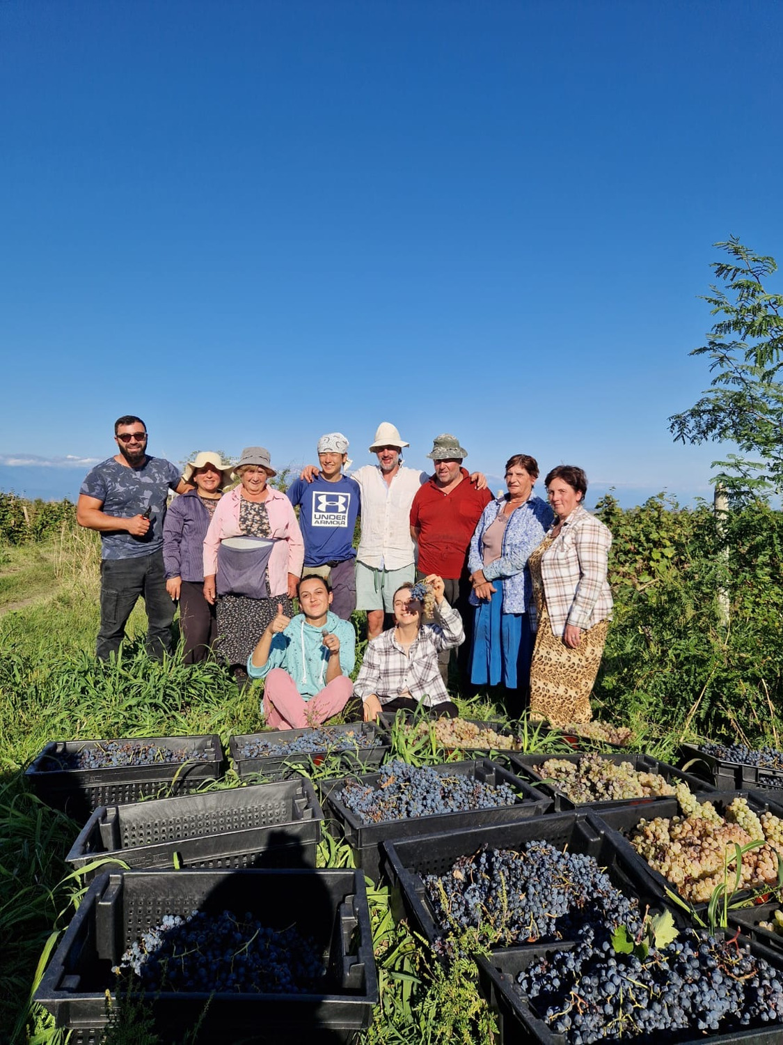 アワー ワイン - 画像 (5)