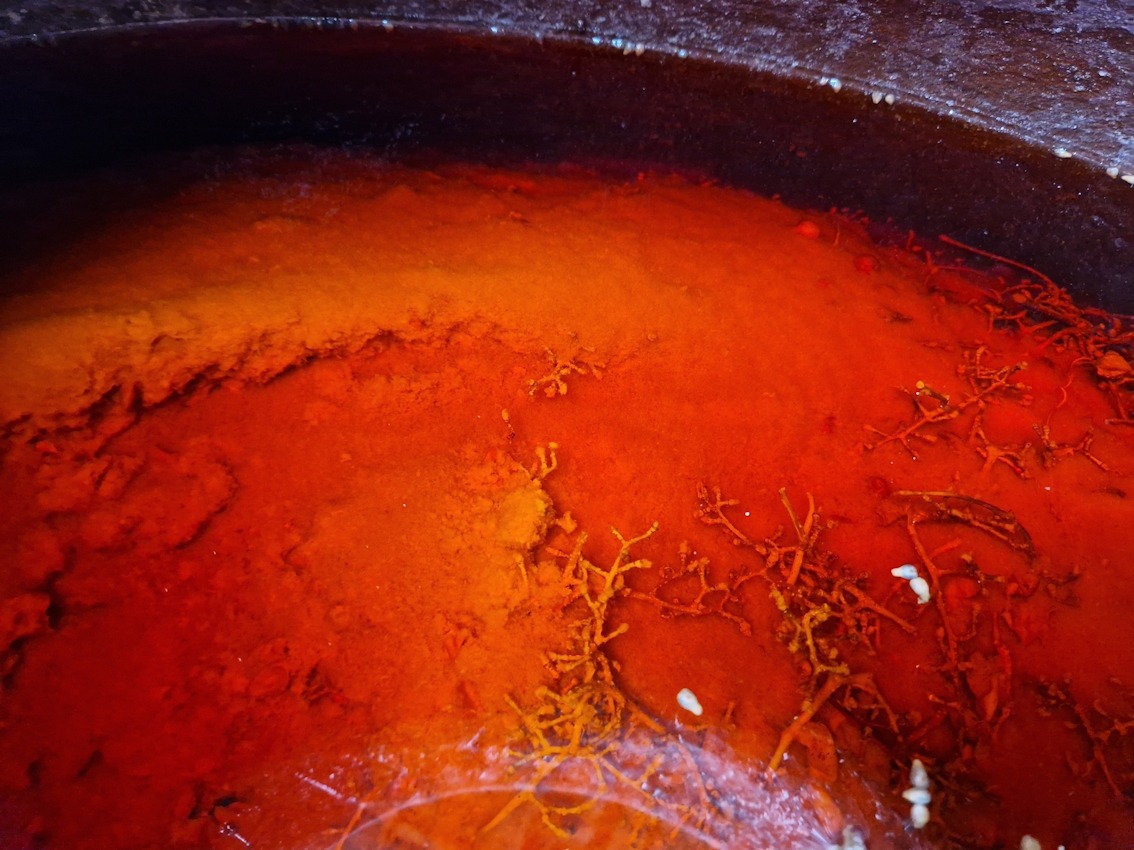 アワー ワイン - 画像 (4)