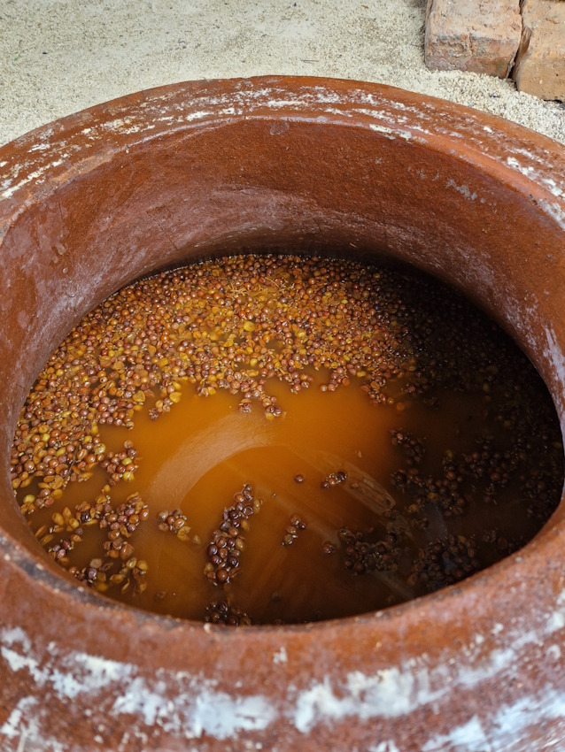 アワー ワイン - 画像 (3)